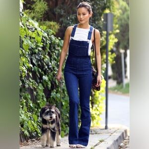 H&M Loves Coachella Denim Flare Overalls. Rare find!